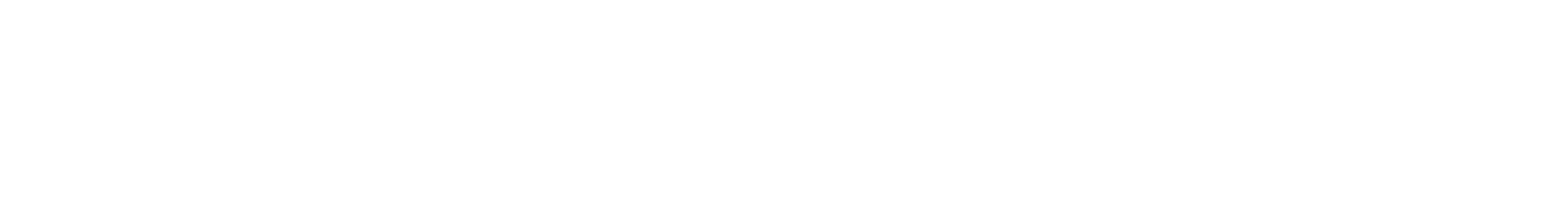 Australian Indian Radio Logo